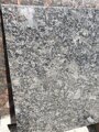 Плитка гранит Steel Grey 300х600х18мм полир.